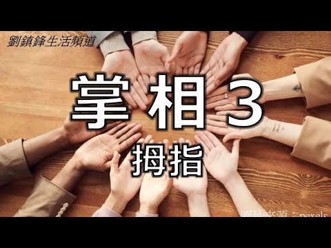 掌相3 拇指 手指公 (開啟字幕) ｜金星指 木星指 土星指 太陽指 水星指 | 劉鎮鋒生活頻道