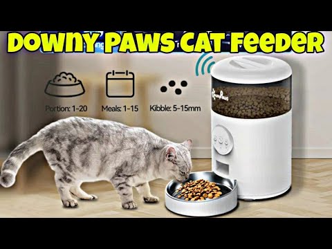 DownyPaws Automatic Cat Food Feeder