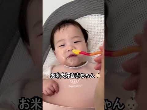 お米が美味しくて笑顔になる赤ちゃん👶🏻#赤ちゃん #赤ちゃんのいる生活 #日韓ハーフ#かわいい #癒し#離乳食 #離乳食初期 #아기 #이유식먹방 #baby#shorts