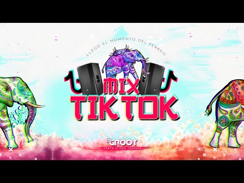 MIX TIK TOK 2020 (Versión Perreo) (Rata Taka Taka, Siren Beat, Elefante, Safaera, más)