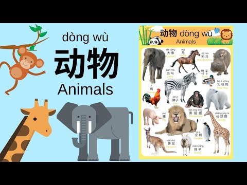 Learn Different Animals in Mandarin Chinese for Toddlers, Kids & Beginners | 动物