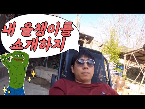 #32 [귀촌 브이로그] 형이 올챙이 잡았다. 개구리로 키워주마