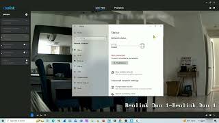 Reolink Client Connection Failed (Quick Video)