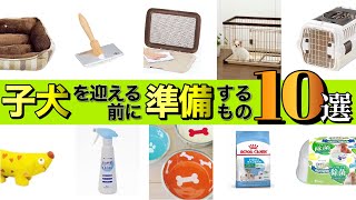 子犬を飼う前に必ず準備しておきたいもの10選