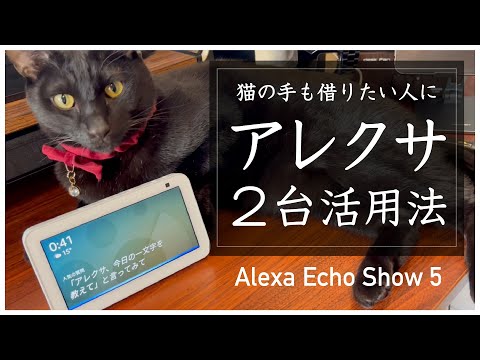 アレクサ 2台目 活用法 | Echo Show 5 Alexa搭載