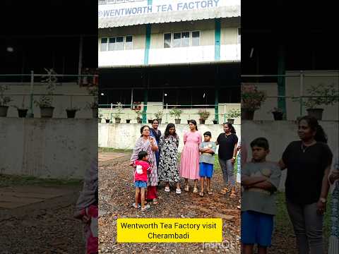 Selvi & Family's Enchanting Tea Experience | Wentworth Tea Factory Tour & Tea Tasting