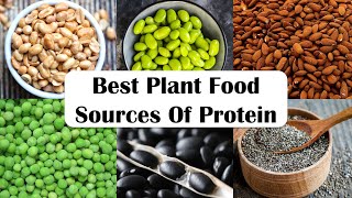 High Protein Vegetables |High Protein Vegetarian Meal |Best Plant Food Sources Of Protein