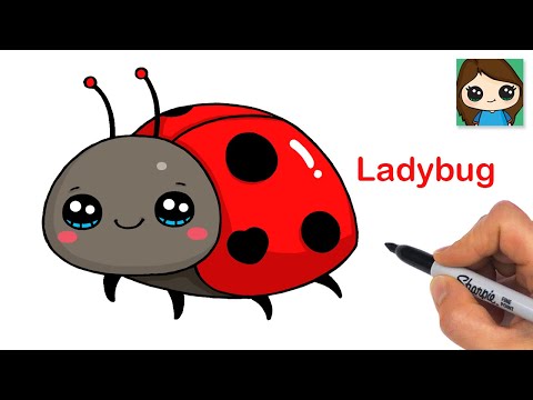 How to Draw a Ladybug Beetle 🐞