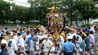 平成23年　川崎・稲毛神社　山王祭　孔雀神輿・玉神輿＝鳥居前渡御