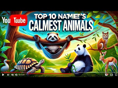 "Top 10 Calmest Animals in the World | Discover Nature's Most Peaceful Creatures"