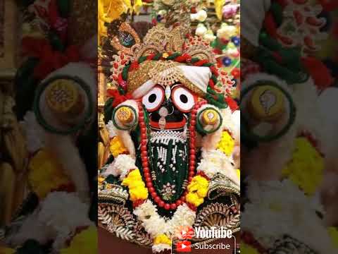 jay shri jagannath new odia Bhajan 🙏🏻‼️⭕‼️#viral #ytshorts