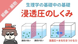 浸透圧のしくみをイラスト図解で分かりやすく説明