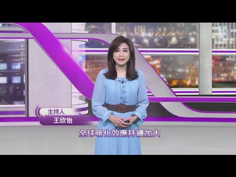 《新聞思想啟》 第147集 海洋復育 最前線