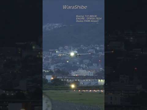 ANA B737-800W | Nice landing with strong winds at dusk | Osaka ITAMI Airport