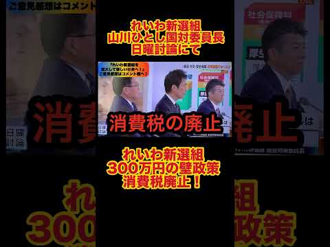 『れいわ新選組山川ひとし国対委員長日曜討論で茶番与野党に会心の一撃！』#shorts  #れいわ新選組  #山川ひとし #年収の壁