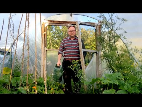 Richard Dawson - Polytunnel (Official Video)