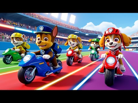 Paw Patrol Ultimate Rescue | RUBBLE vs SKYE Will Be The Champion!? | Very Funny Story | Rainbow 3