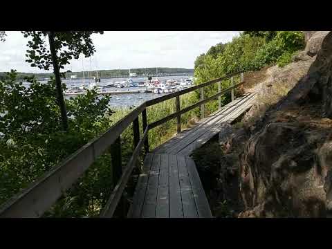 Vaxholm Forest see Boats