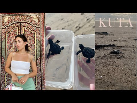 RELEASING 400 TURTLES BACK INTO THE OCEAN IN KUTA BALI