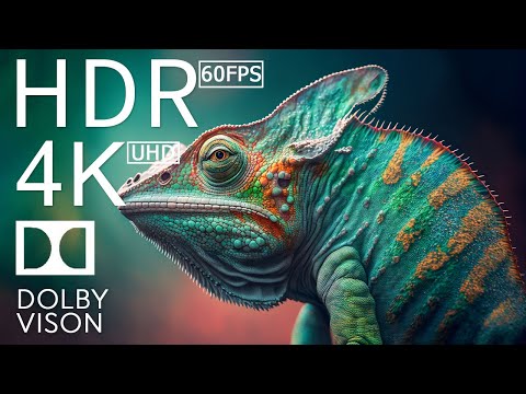 4K HDR 120fps Dolby Vision with Animal Sounds (Colorfully Dynamic) #76