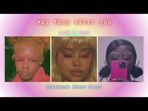 pick a card | why they adore you