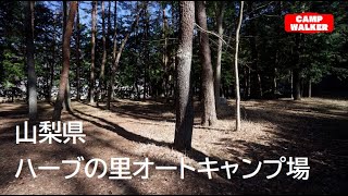 【山梨県南都留郡富士河口湖町】『ハーブの里オートキャンプ場』攻略ガイド