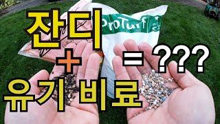 잔디에 유기 비료를 주면 어떻게 될까? 알고나면 간단한 유기 (organic) 비료 주는법.