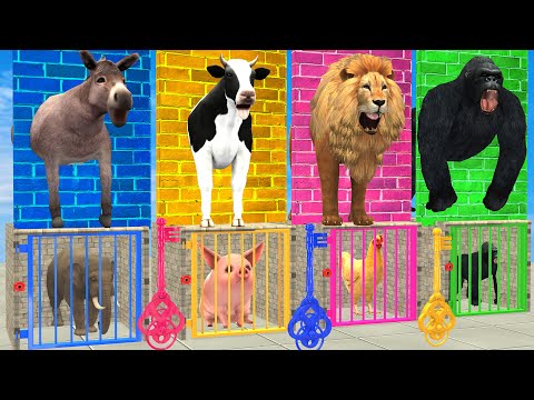 Don’t Break The Wrong Wall with Elephant, Cow, Lion, Gorilla Escape Room Challenge Animals Cage Game