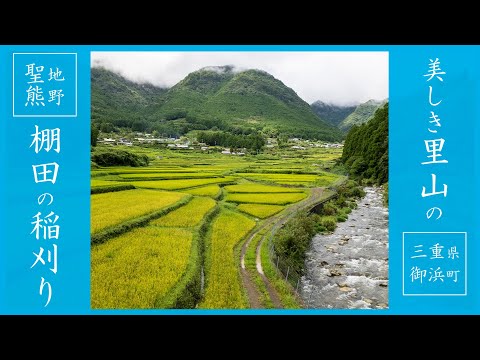 【Rural Japan】In Between Mountains | Japan Hidden Gems | Rural Japan | Countryside in Japan