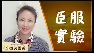 《臣服實驗》隨順生命之流，放手讓生命掌舵的旅程｜從體驗者到觀察者｜臣服是與生命合作｜靈性養神【微笑雪莉】