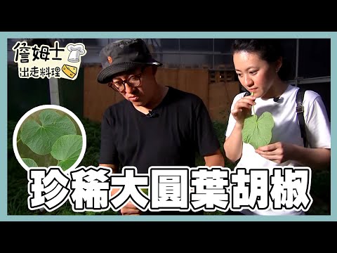 《精選詹姆士棒的-特輯EP38》全台第一九層塔產區!珍稀大圓葉胡椒、香菜鳳梨酥與檸檬香茅