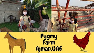 UAE PYGMY ZOO/FARM/Ajman/AL ZORAH Marina 1/Kids friendly zoo in UAE