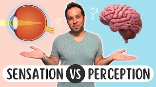 Sensation vs. Perception: What's the Difference?