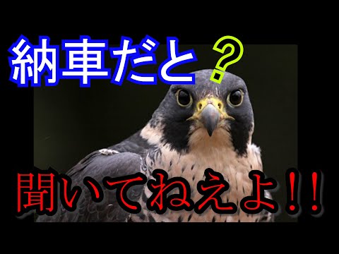 【GSX1300R】いきなりですが新型ハヤブサ納車されました【HAYABUSA】