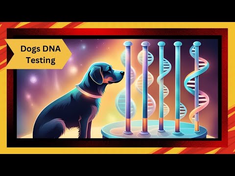 The Rise of Dog DNA Testing 🐾🔬 | Uncover Your Pup’s Secrets!