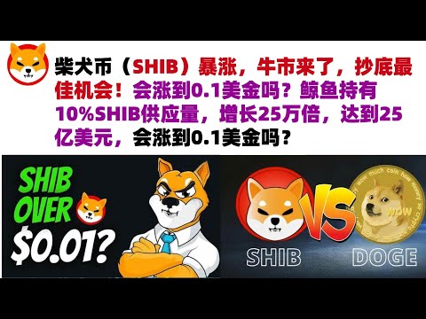 柴犬币（SHIB）暴涨，牛市来了，抄底最佳机会！会涨到0.1美金吗？鲸鱼持有10%SHIB供应量，增长25万倍，达到25亿美元，会涨到0.1美金吗？#shib币#柴犬币#屎币行情分析！