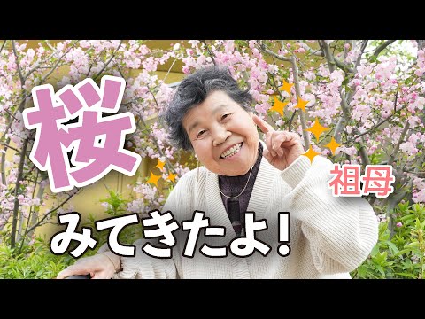 お花をたくさん見てきたよ〜🌸🌷🌼🪻