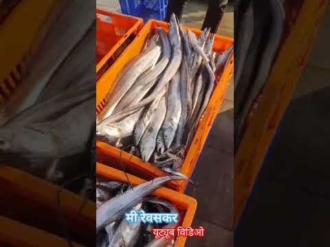 Big vakadi fish bhaucha dhakka, mumbai #kokanfishing #fishing #आगरी_कोळी_संस्कृती #fishmarket