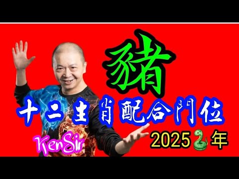 🧭🏠⛩️《豬》｜2025蛇年十二生肖｜🐷《豬》配合家居環境｜生肖配八門吉兇｜宅命相配｜環境能量｜#2025蛇年 #生肖豬