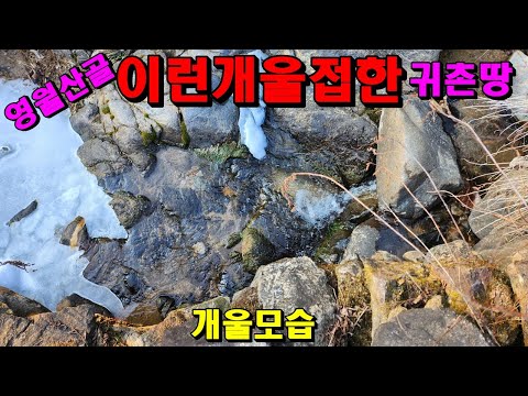 (영월산골)청정 개울길게 접한 귀촌지/540평/7,000만/영월부동산매매/영월토지매매