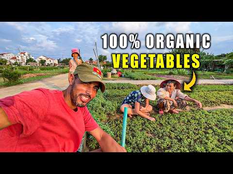 Tra Que Vegetable Village | Hoi An’s Hidden Farming Gem 🇻🇳 #vietnam