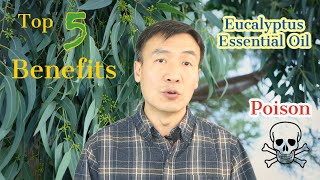 Eucalyptus Uses. Top 5 Benefits of Eucalyptus Essential Oil. Side Effects of Eucalyptus Oil