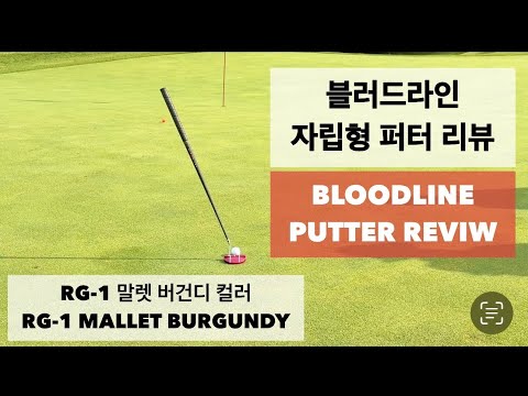 블러드라인 자립 퍼터 리뷰 & 샤프트 교체 방법 Bloodline Putter Review & Shaft Replacement