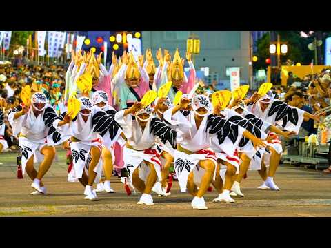 [Awa Odori 2024] Sasaren, a powerful man's dance that crawls on the ground - JAPAN in 4K