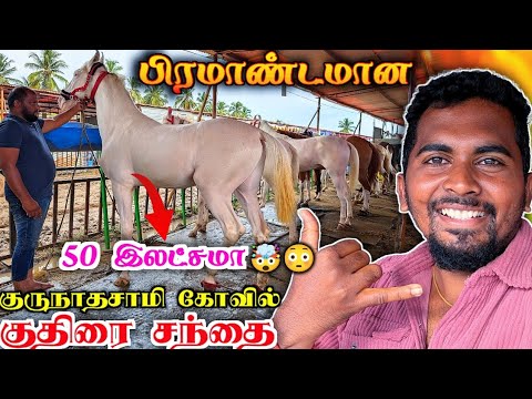 🔥🤯ஒரு குதிரை 🔴₹50 இலட்சமா😳🥵அந்தியூர் குருநாதசாமி குதிரை சந்தை 2024 | ANTHIYUR HORSE MARKET | K7