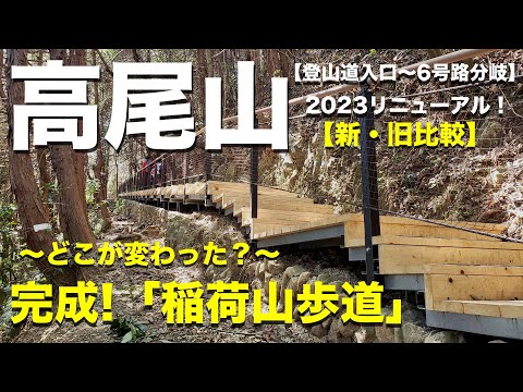 【高尾山】初！２画面で見る！新旧「稲荷山歩道」2023年リニューアルの全貌！（関東百名山）