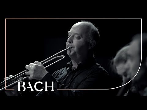 Bach - First movement from 'Brandenburg' concerto no. 2 BWV 1047 | Netherlands Bach Society