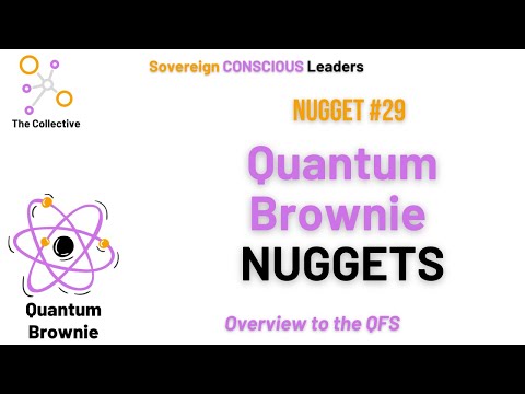 29. Quantum Brownie Nugget  - Overview to the QFS