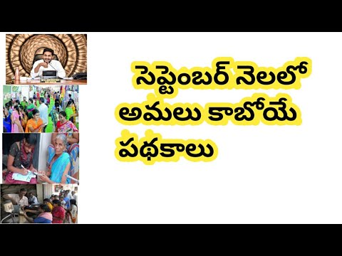 ఏపీ లో సెప్టెంబర్ అమలు కాబోయే పథకాలు||డ్వాక్రా మహిళలకు గుడ్ న్యూస్||ఏపీ  cm జగన్ మోహన్ రెడ్డి||