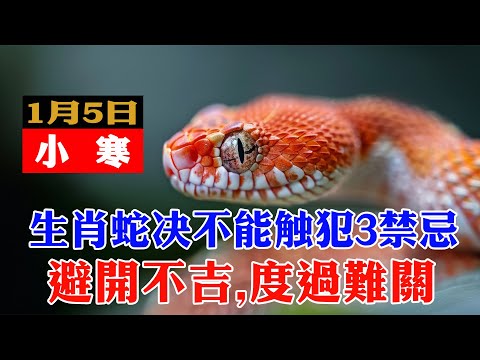 1月5日生肖蛇絕對不能做的3件大凶之事！小心破財傷身，倒楣一整年！【佛語】#運勢 #風水 #佛教 #生肖 #佛語